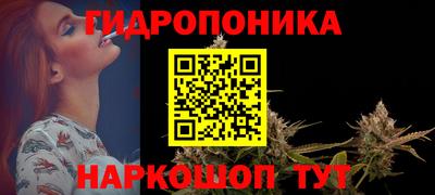молекула духа Можайск