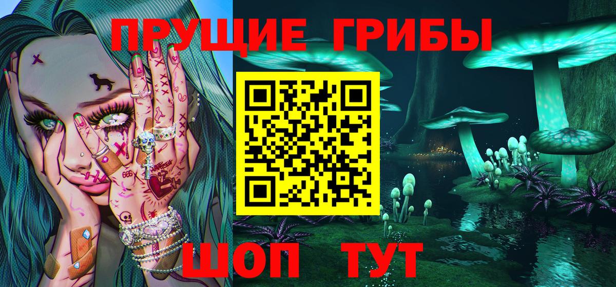 Галлюциногенные грибы Psilocybine cubensis  Вход с VPN  Фролово 